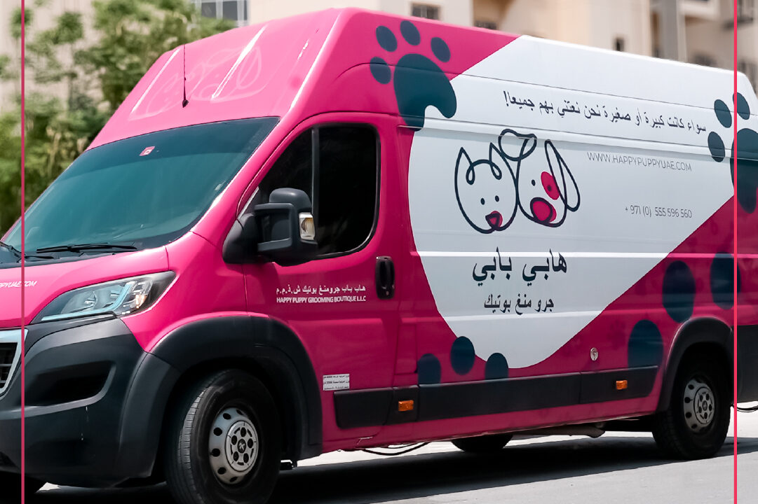 Challenges You May Face In Home Pet Grooming