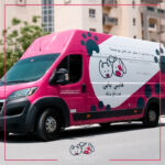 Challenges You May Face In Home Pet Grooming